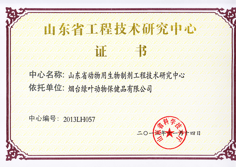 山東省工程技術(shù)研究中心證書