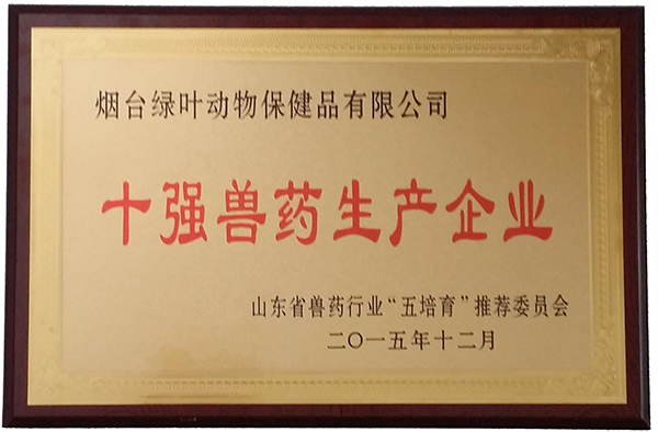十強(qiáng)