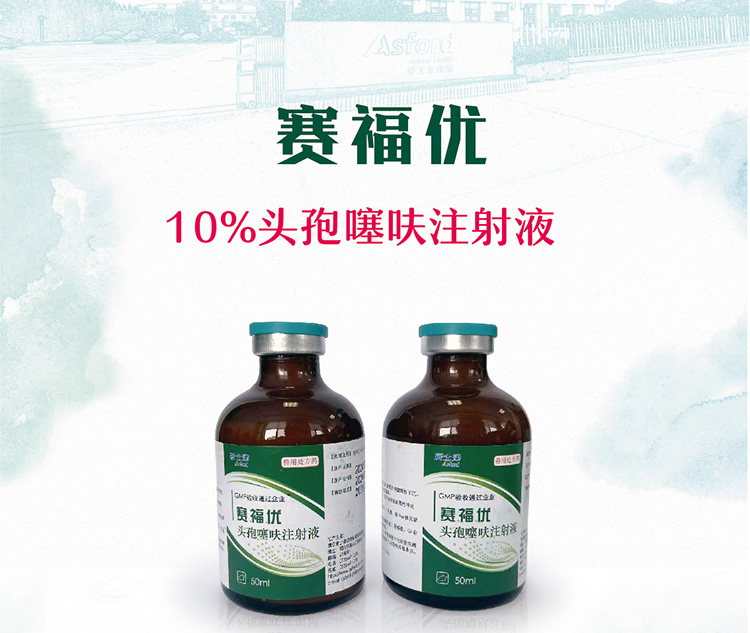 賽福優(yōu)